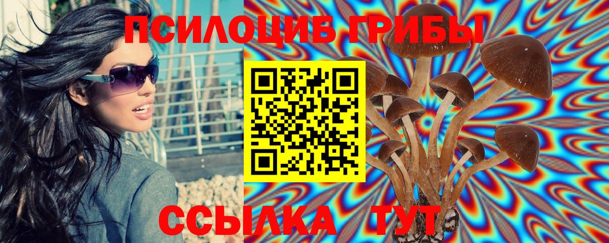 Псилоцибиновые грибы MAGIC MUSHROOMS  Галлюциногенные грибы Psilocybe  Вход с VPN  Татарск 